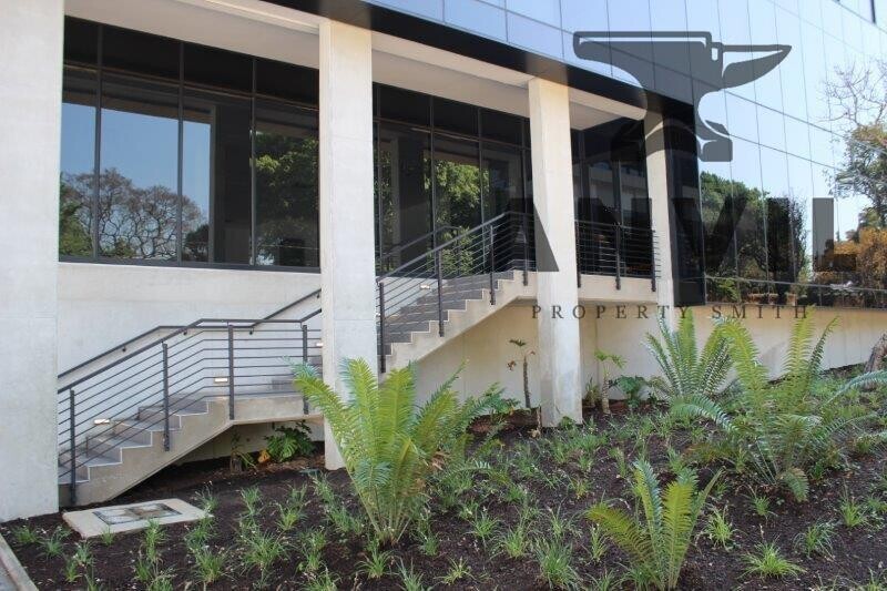 35 Ferguson Road, Illovo, Sandton - Option 10  property image 2