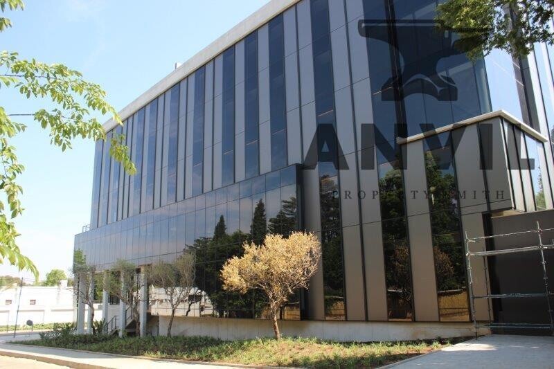 35 Ferguson Road, Illovo, Sandton - Option 10  property image 3