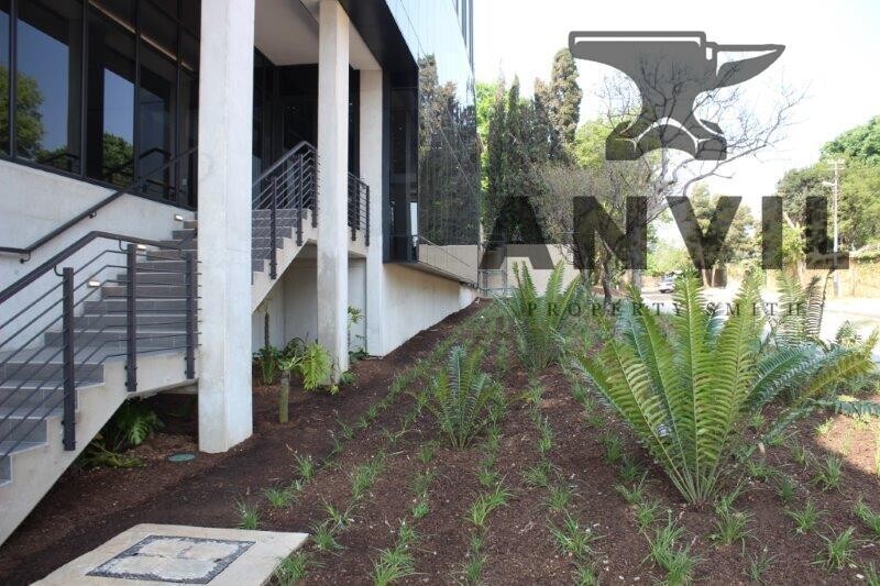 35 Ferguson Road, Illovo, Sandton - Option 10  property image 8