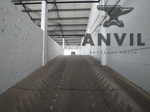 67 Carlisle Street - First Floor Unit property image 5