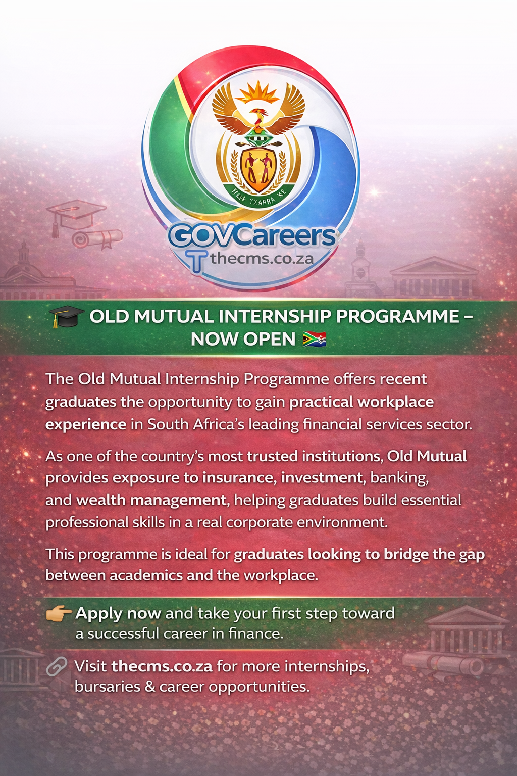 Old Mutual Internship