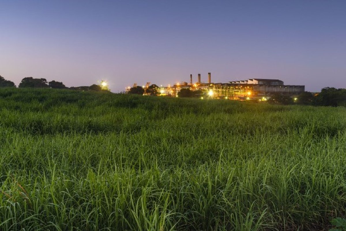 Amatikulu Sugar Mill