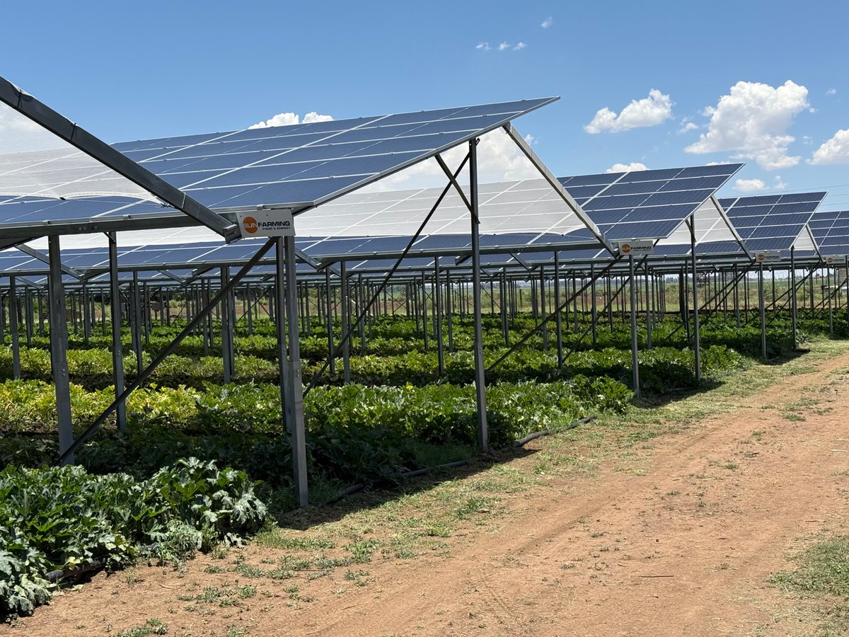 SUNFarming Agri-PV1
